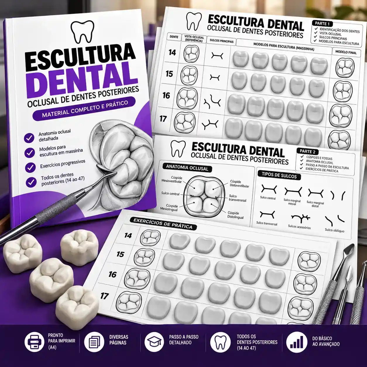 Mockup da Apostila de Escultura Dental Oclusal de Posteriores